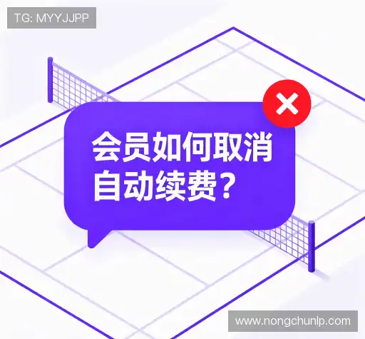 解答指南